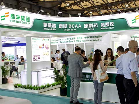 Fufeng GROUP Factory Workshop